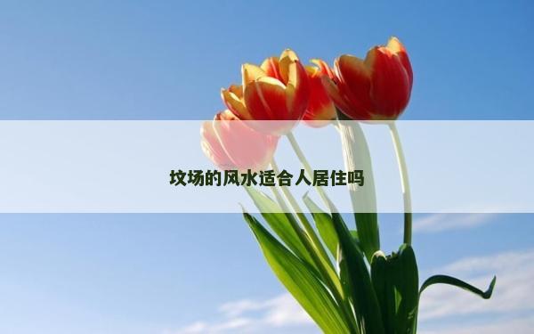 墳場的風水適合人居住嗎