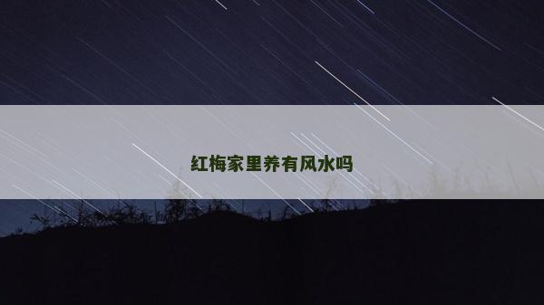 紅梅家里養(yǎng)有風水嗎