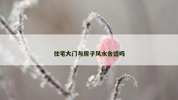 住宅大門與房子風水合適嗎