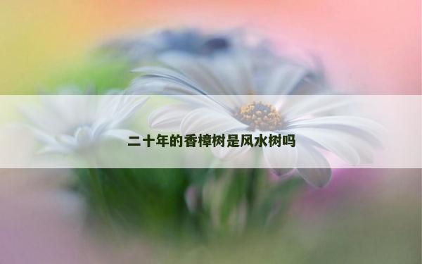 二十年的香樟樹是風水樹嗎