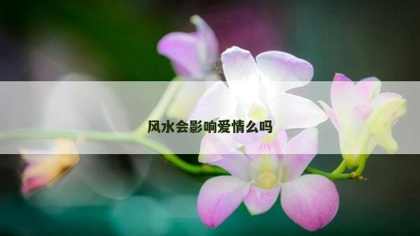 風水會影響愛情么嗎