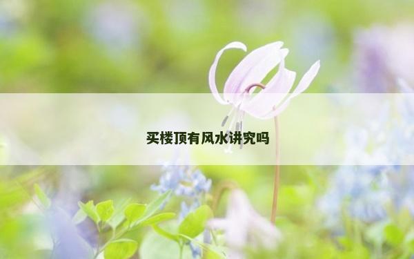 買樓頂有風水講究嗎 買樓頂有風水講究嗎