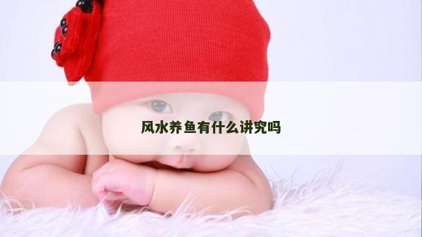 風水養魚有什么講究嗎 風水養魚有什么講究嗎