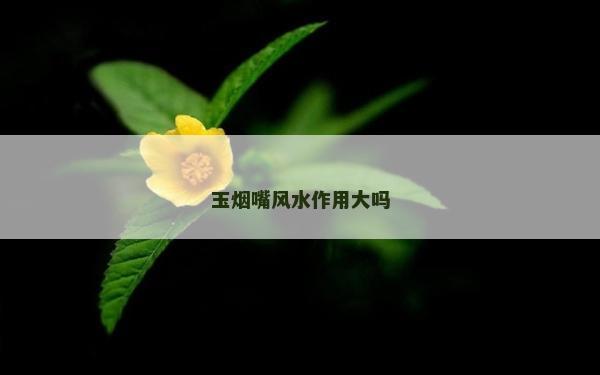 玉煙嘴風水作用大嗎