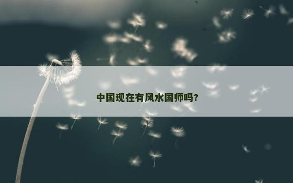 中國現(xiàn)在有風(fēng)水國師嗎? 中國現(xiàn)在有風(fēng)水國師嗎?