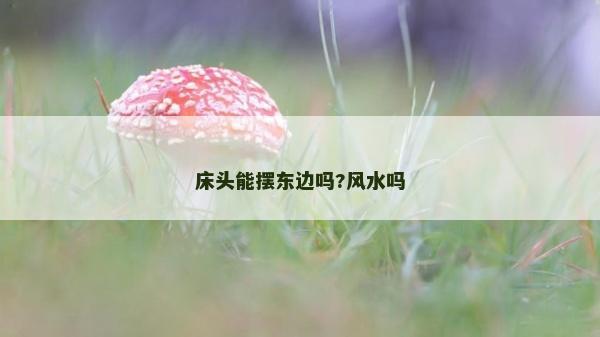 床頭能擺東邊嗎?風(fēng)水嗎 床頭能擺東邊嗎?風(fēng)水嗎