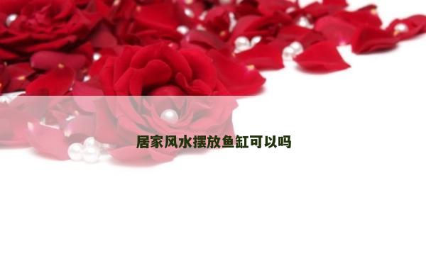 居家風水擺放魚缸可以嗎