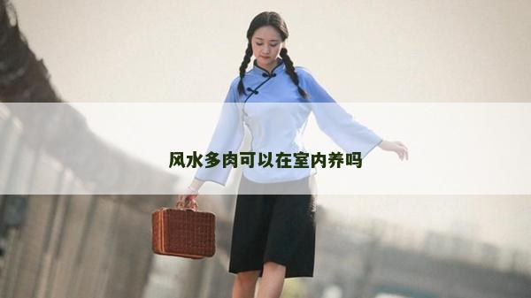 風水多肉可以在室內養嗎 風水多肉可以在室內養嗎