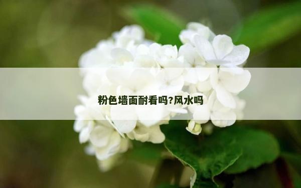 粉色墻面耐看嗎?風水嗎