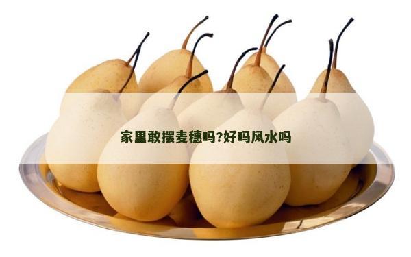 家里敢擺麥穗嗎?好嗎風水嗎
