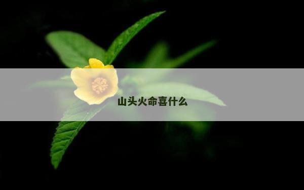 山頭火命喜什么