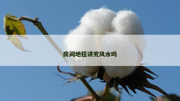 房間地毯講究風水嗎 房間地毯講究風水嗎