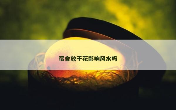 宿舍放干花影響風水嗎