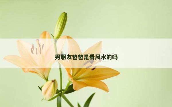 男朋友爸爸是看風水的嗎