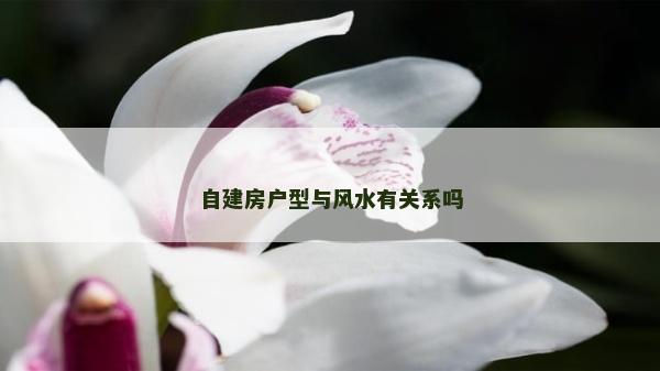 自建房戶型與風(fēng)水有關(guān)系嗎