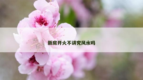 新房開火不講究風水嗎 新房開火不講究風水嗎