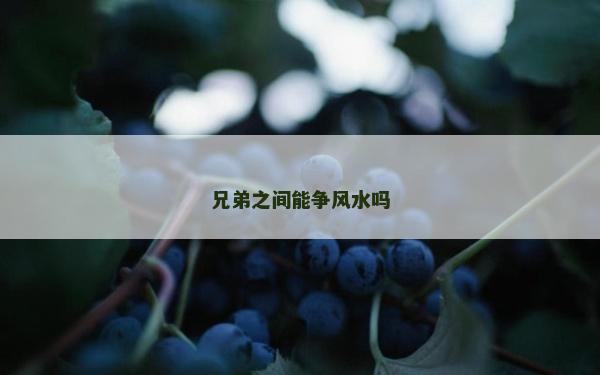 兄弟之間能爭風水嗎 兄弟之間能爭風水嗎