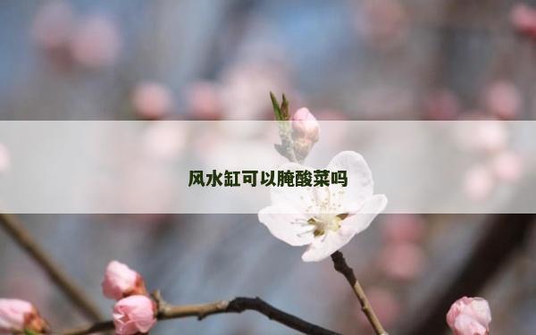 風水缸可以腌酸菜嗎 風水缸可以腌酸菜嗎
