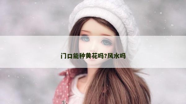 門口能種黃花嗎?風水嗎