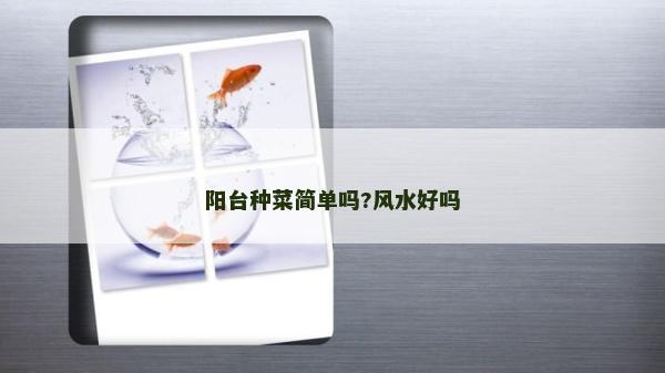 陽臺種菜簡單嗎?風水好嗎
