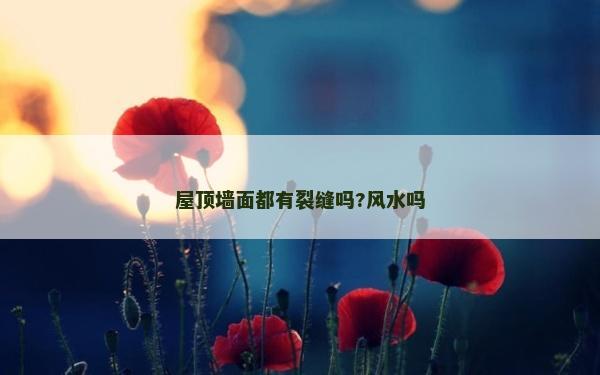 屋頂墻面都有裂縫嗎?風水嗎