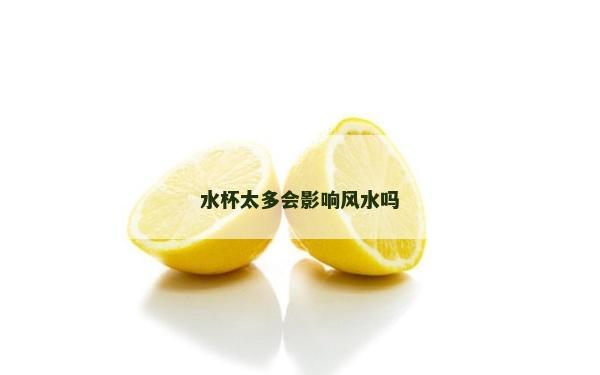 水杯太多會影響風水嗎