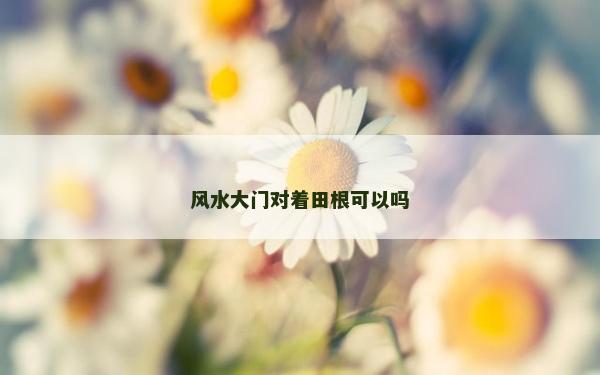 風(fēng)水大門對著田根可以嗎