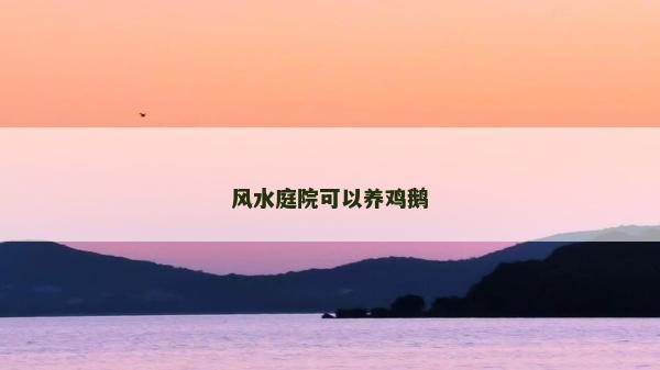 風水庭院可以養雞鵝