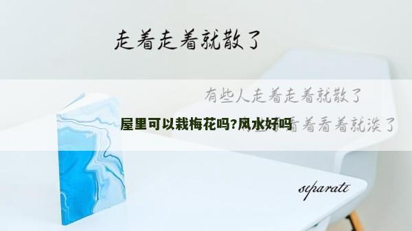 屋里可以栽梅花嗎?風水好嗎
