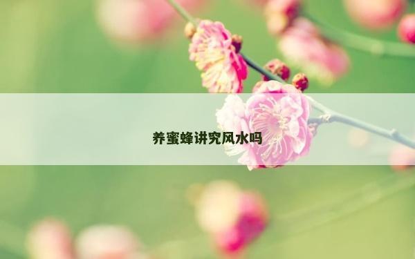 養蜜蜂講究風水嗎