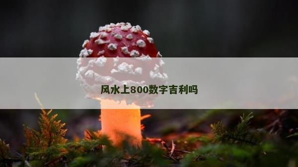 風水上800數字吉利嗎