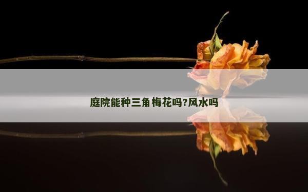 庭院能種三角梅花嗎?風(fēng)水嗎