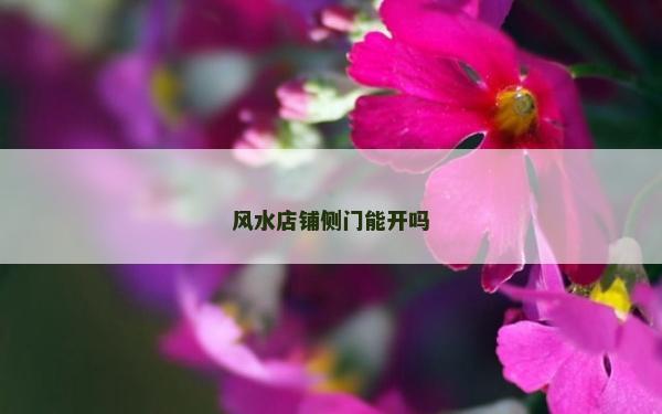 風水店鋪側門能開嗎