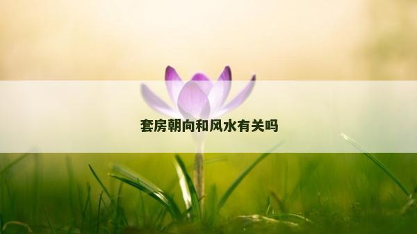 套房朝向和風水有關嗎