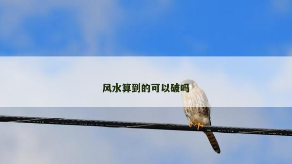 風水算到的可以破嗎