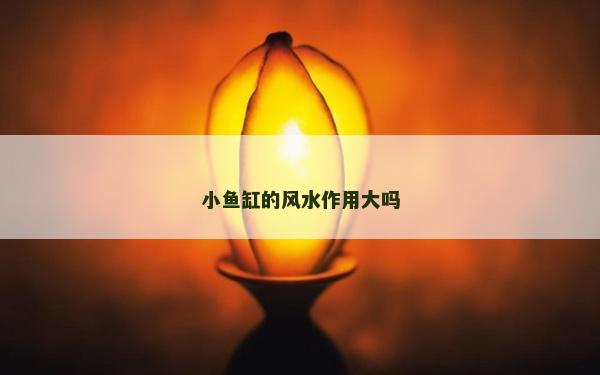 小魚缸的風水作用大嗎