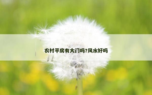 農村平房有大門嗎?風水好嗎 農村平房有大門嗎?風水好嗎