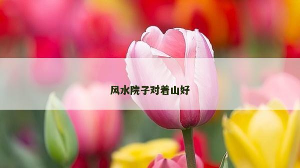 風水院子對著山好 風水院子對著山好