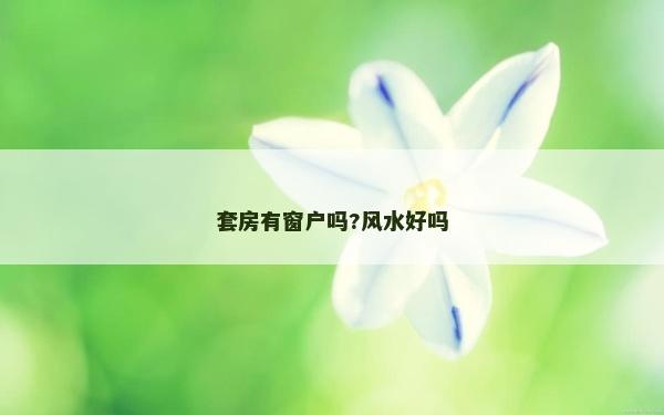 套房有窗戶嗎?風水好嗎