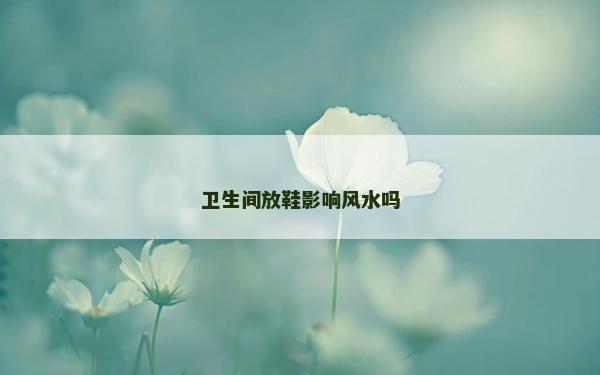 衛生間放鞋影響風水嗎 衛生間放鞋影響風水嗎