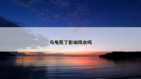 烏龜死了影響風(fēng)水嗎
