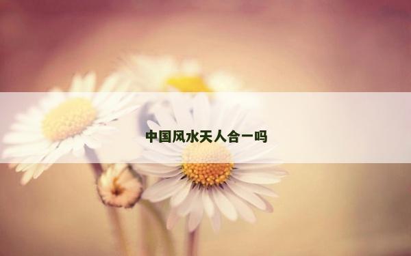 中國風水天人合一嗎 中國風水天人合一嗎