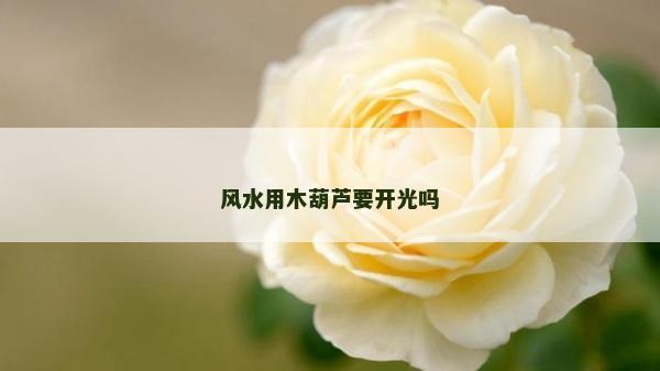 風水用木葫蘆要開光嗎 風水用木葫蘆要開光嗎