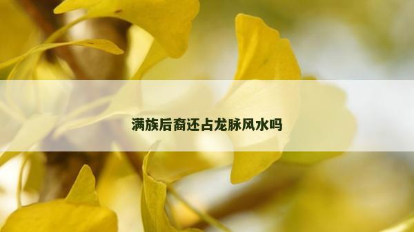 滿族后裔還占龍脈風水嗎