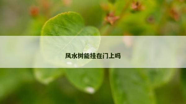 風水樹能掛在門上嗎
