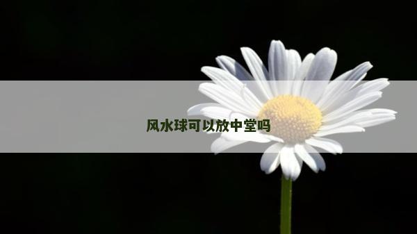 風(fēng)水球可以放中堂嗎