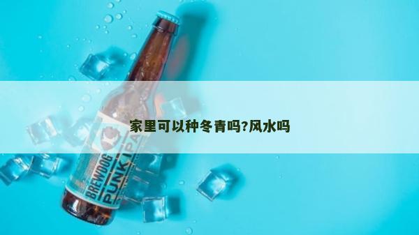 家里可以種冬青嗎?風水嗎