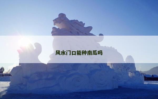 風水門口能種南瓜嗎