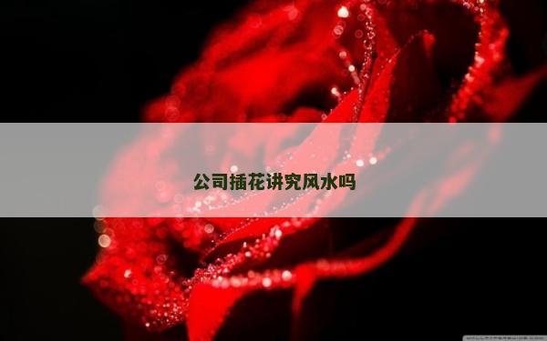 公司插花講究風水嗎