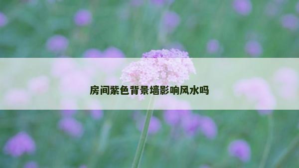 房間紫色背景墻影響風水嗎
